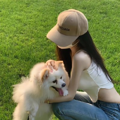 狗的审判